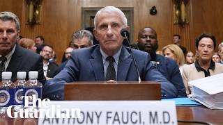 Dr. Fauci appears in front of Senate committee - watch live
