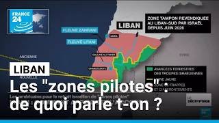 Liban-Sud : le test des "zones pilotes" • FRANCE 24