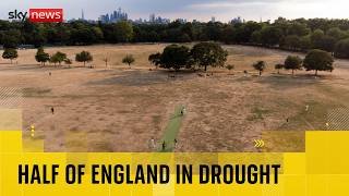 BREAKING: Half of England in drought, Environment Agency says