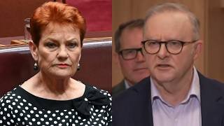 Albanese takes aim at Hanson for ‘denigrating’ Australia
