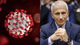 Doctor discusses potential COVID origin after Dr. Anthony Fauci's diary release