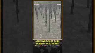 Spain Wildfire Burns 30,000 Hectares | Heatwave Sparks Massive Forest Blaze | Thousands Evacuated