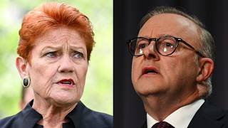 Labor attempts to combat One Nation's surging support with crazy move