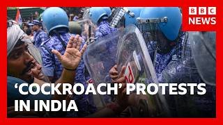 India's 'cockroach' protest continues after police crackdown | BBC News