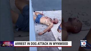 Police arrest man wanted for Wynwood dog attack