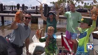 Boaters, divers kick off Florida’s annual spiny lobster mini season