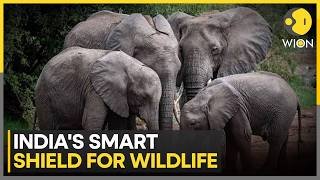 Tamil Nadu Turns Tech Into Wildlife Safety: Protecting Gentle Giants With Intelligent Alerts | WION