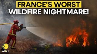France Wildfire Crisis Deepens: Flames Approach Bordeaux, Over 250,000 Evacuated | WION Originals