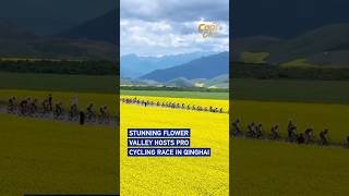 Stunning flower valley hosts pro cycling race in Qinghai #coolchina
