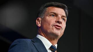‘I don't get it’: Angus Taylor criticised for attacking One Nation instead of Labor