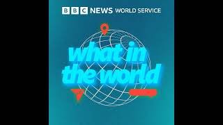 Tyla removes Nigeria from her world tour dates - BBC World Service
