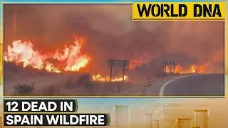 Spain Wildfires: Spanish Royals Mark Minute of Silence For Wildfire Victims | World DNA News