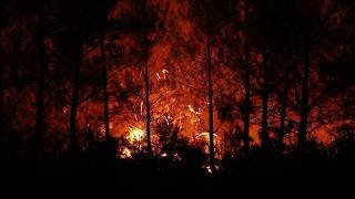 Live: Historic wildfires tear across southwestern Europe