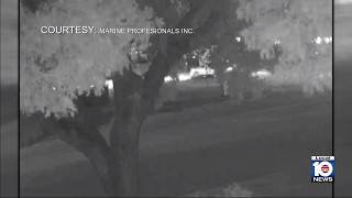 Woman dies after falling off moving car in Fort Lauderdale, police say