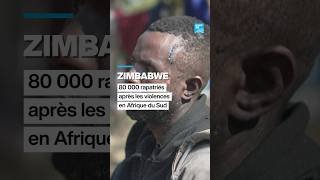 Zimbabwe : 80 000 rapatriés après les violences en Afrique du Sud • FRANCE 24