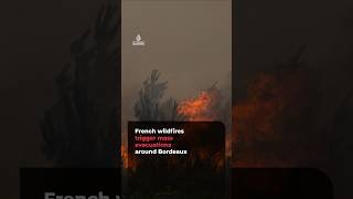 French wildfires trigger mass evacuations around Bordeaux | #ajshorts