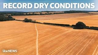 Britain's first drought of the year declared in parts of Wales