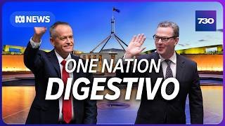 Bill Shorten and Christopher Pyne dissect One Nation | 7.30