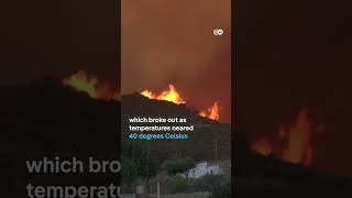 Spain's deadliest wildfire in over two decades | DW News
