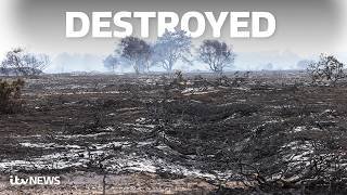 We filmed the scorched aftermath of the Suffolk wildfire
