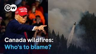Trump threatens Canada with tariffs over wildfire smoke | DW News