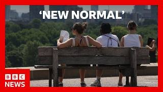UK climate extremes becoming 'new normal', says Met Office | BBC News