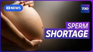 Australia's sperm donor shortage is driving women to meet strangers online | 7.30