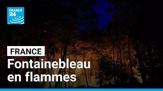 Île-de-France : la forêt de Fontainebleau en proie à un incendie d'une "ampleur exceptionnelle"