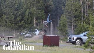 Bison tosses grandfather into the air in Yellowstone national park