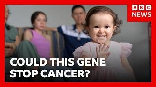 The community that might hold the key to treating cancer | BBC News