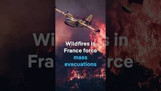 Evacuations ordered as wildfire threatens communities in southwest France | DW News