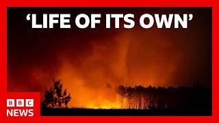Spanish PM says wildfires are a 'painful expression' of climate emergency | BBC News