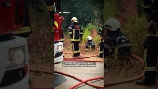 France and Spain battle one of Europe's worst wildfire disasters in decades