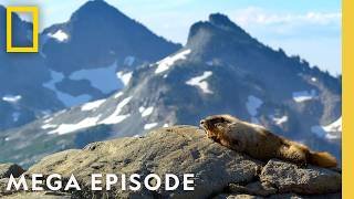 America 250 SPECIAL | America the Beautiful ft. Michael B. Jordan MEGA Episode | National Geographic