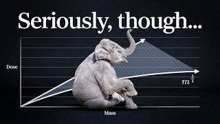 How much LSD should you give an elephant?