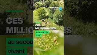 De riches entrepreneurs achètent des forêts pour les laisser à l’abandon • FRANCE 24