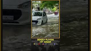 Assam Floods Turn Deadly As Death Toll Rises To 40 | WION Shorts