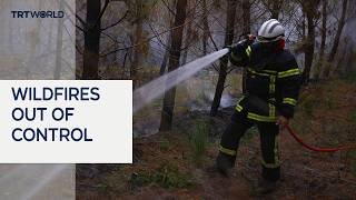 Wildfires rage across Spain, France and Italy as extreme heat grips Europe