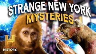 MONSTERS & UFOS INFILTRATE NYC | The Proof Is Out There