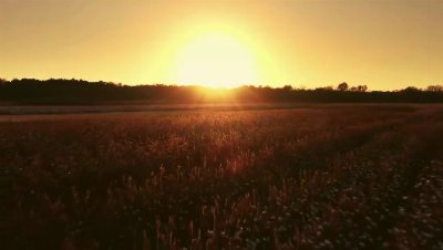 Record-shattering June heat is sweeping across Europe