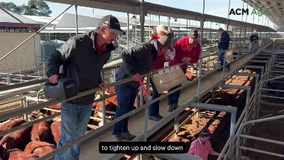 Tributes for Tom Ford at Bairnsdale fortnightly cattle sale