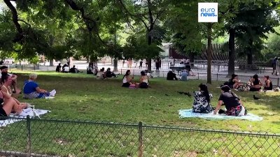 Latest news bulletin | July 12th, 2026 – Midday
