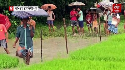 মাছের জালে ধরা পড়ল 15 ফুটের অজগর ! আতঙ্কে স্থানীয়রা