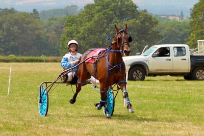 Gallery: Wales & Border Harness Racing at Ludlow