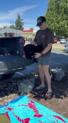Man Tries to Teach Dog How to Jump off Truck Bed
