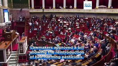 French environment minister convinced to stay on after announcing resignation