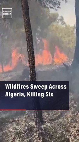 Wildfires Sweep Across Algeria, Killing Six