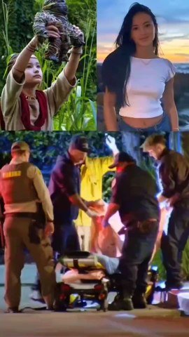 Kaylee Hottle Passed Away After Car Crash 💔 #breakingnews #ripkayleehottle #GodzillaXKong #rip #vira