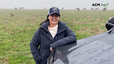 How an unusual composite breed is delivering producers 20 per cent more beef