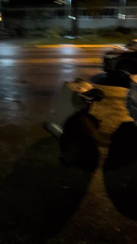 Bear Pushes Trash Can Around